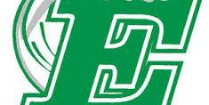 Green Wave Softball banner