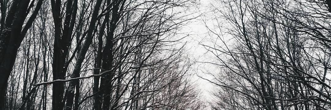 ml__g_'s profile banner image
