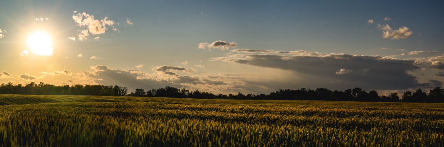 hamlin_jay's profile banner image