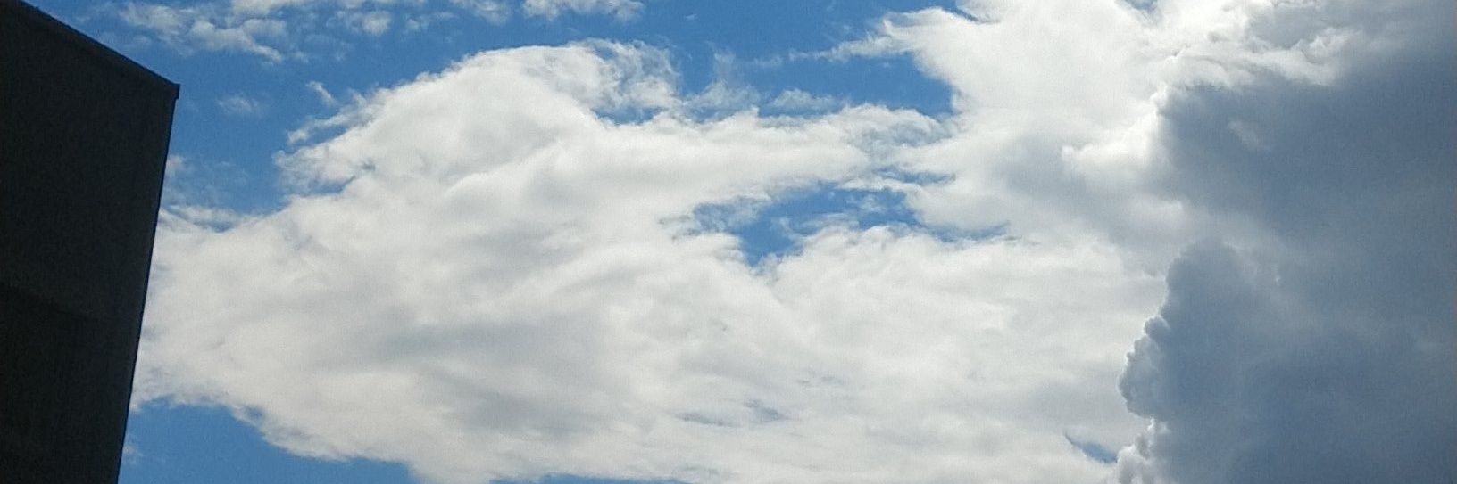 emonatti1993's profile banner image