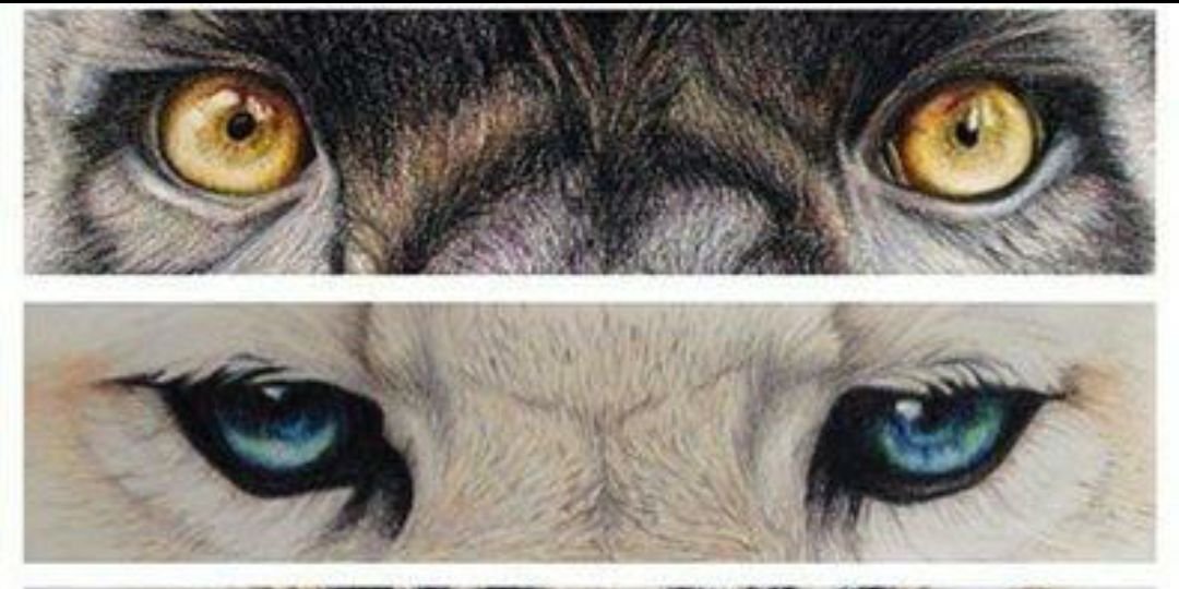 xkusvanwik's profile banner image