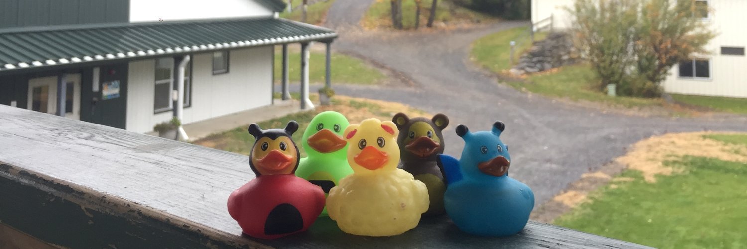 Jeremy Levine banner