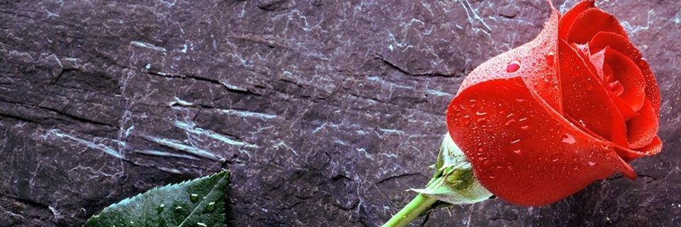 juliocesarpef's profile banner image