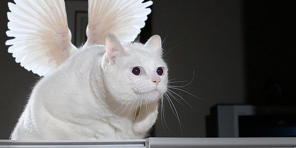 _zerocontext's profile banner image