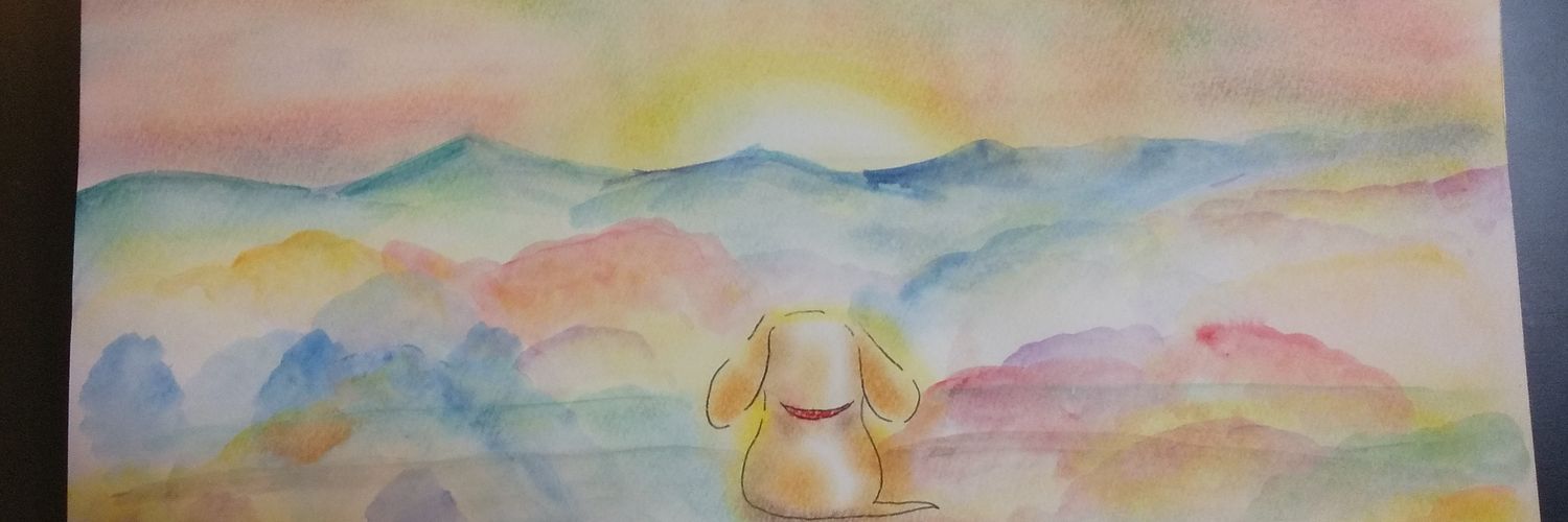 miee_co2's profile banner image