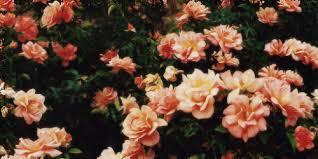 JamesII1633's profile banner image