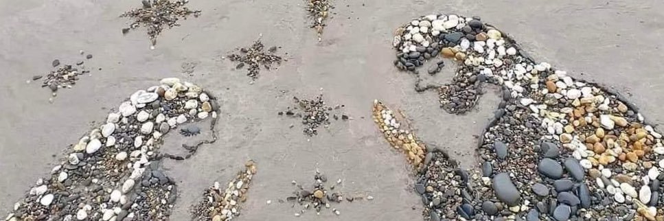 Jessica Carroll banner