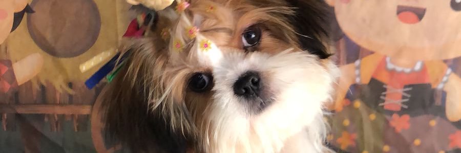 gabsqp's profile banner image