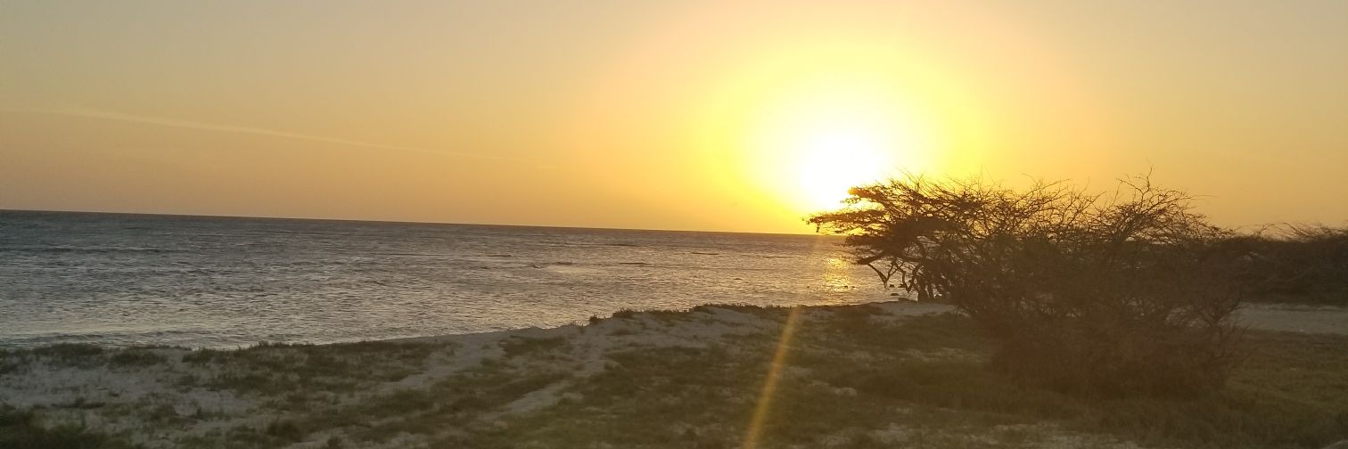 jonnjonnjonny's profile banner image