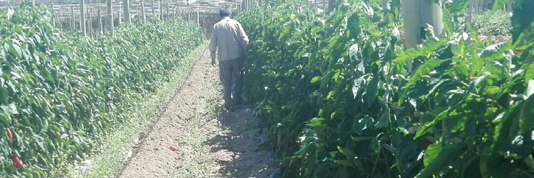 Martín Betancud banner