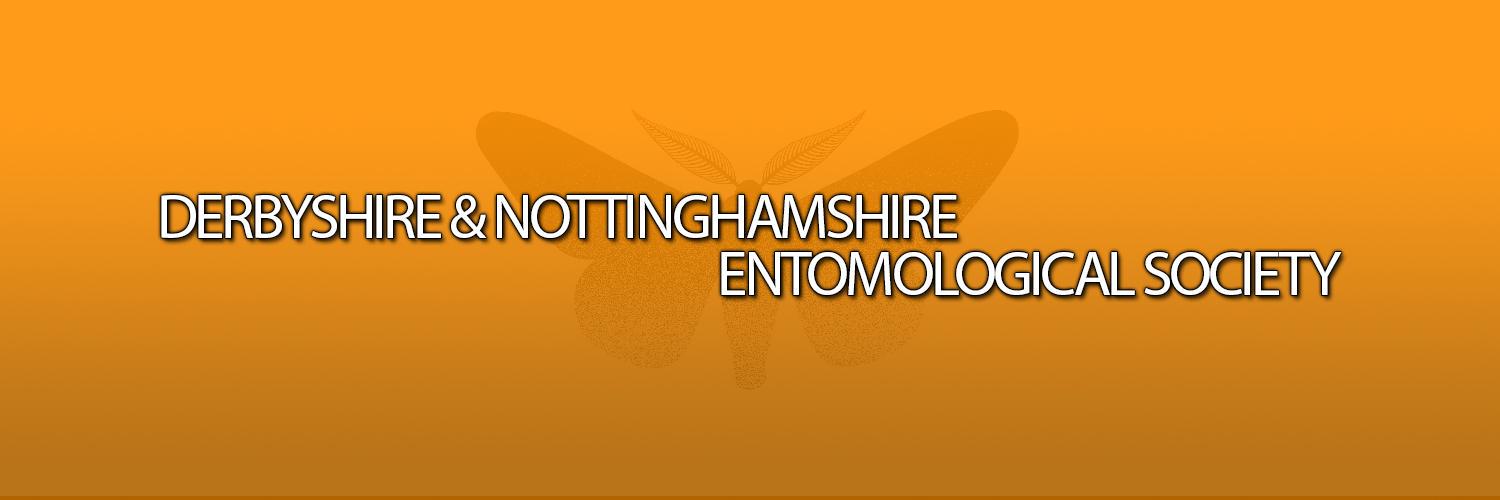 DaNESInsects's profile banner image