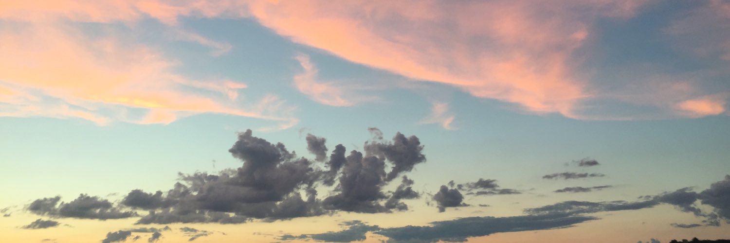 Mason_Kamer's profile banner image