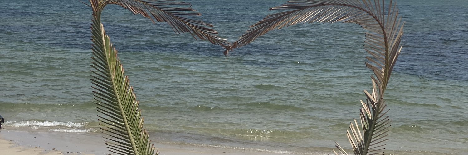 LeLecymar's profile banner image