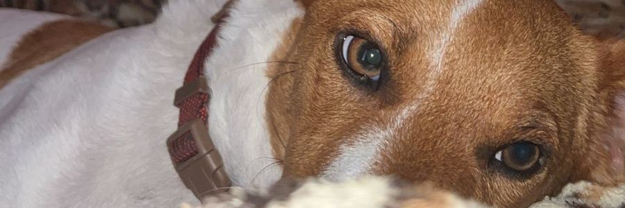 billybraba's profile banner image