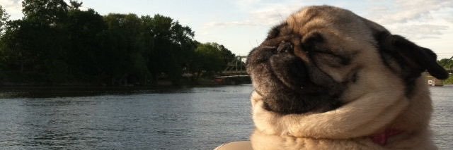 k banner