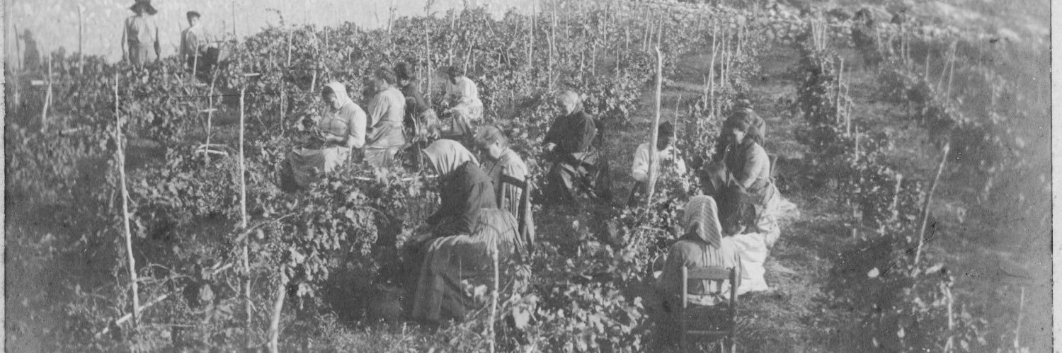 Alba Gràcia Pañella banner