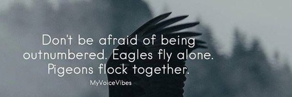 denfazzer Profile Banner