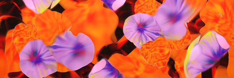 Robin Roy Digital painter Mexico🌸 banner