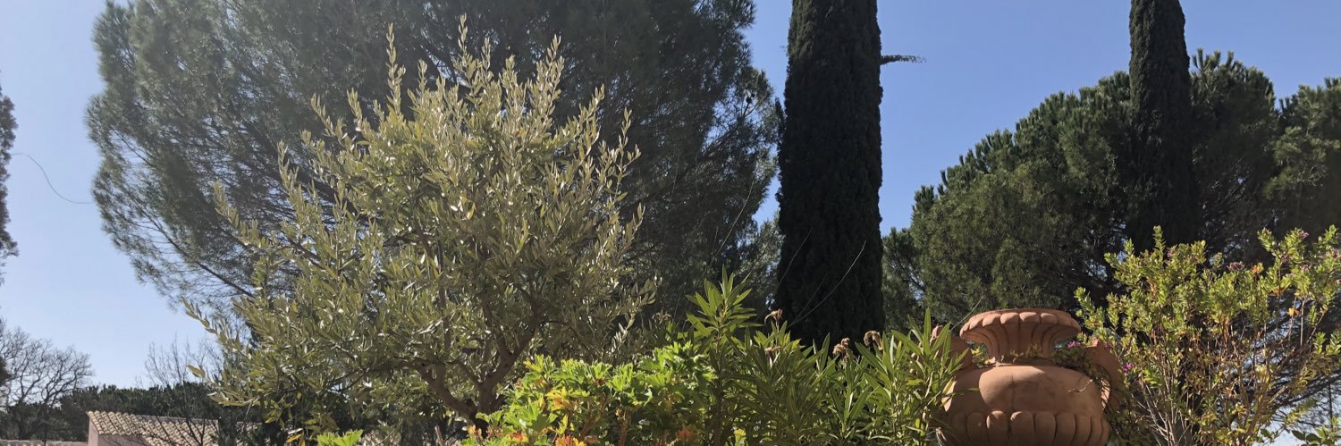 Kate d’Aix. banner