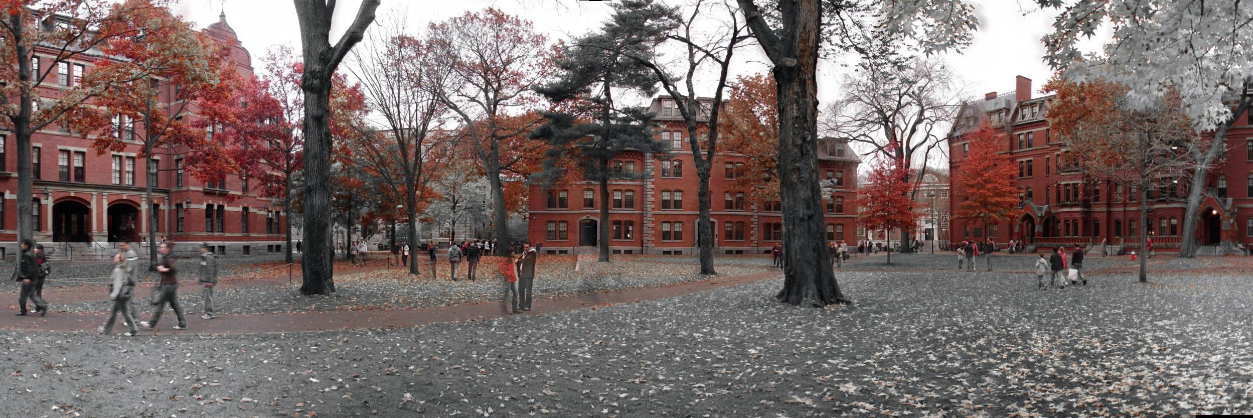 Harvard Spain banner