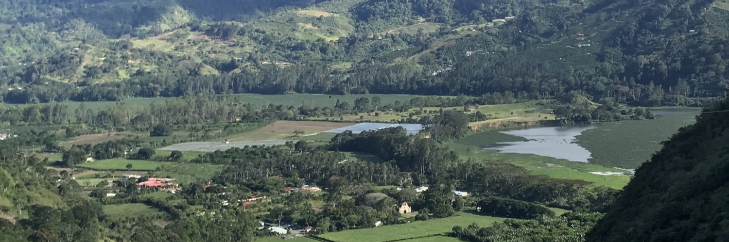 Kelly Witkowski banner