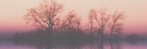 TeamStylesBra's profile banner image