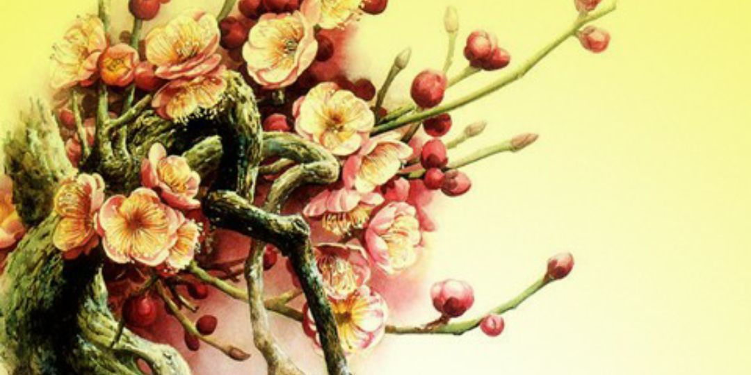 baisho93's profile banner image