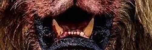 galaslan34's profile banner image