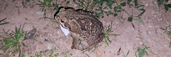 MilChavez Profile Banner