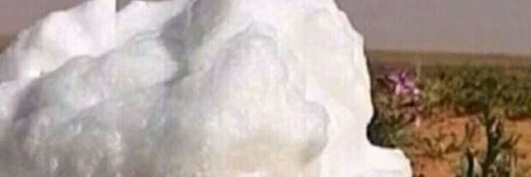 راشد الدوسري banner