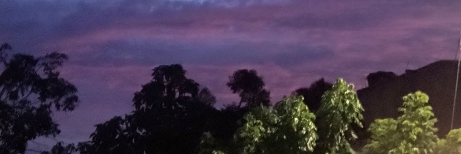 elcompaeliba's profile banner image