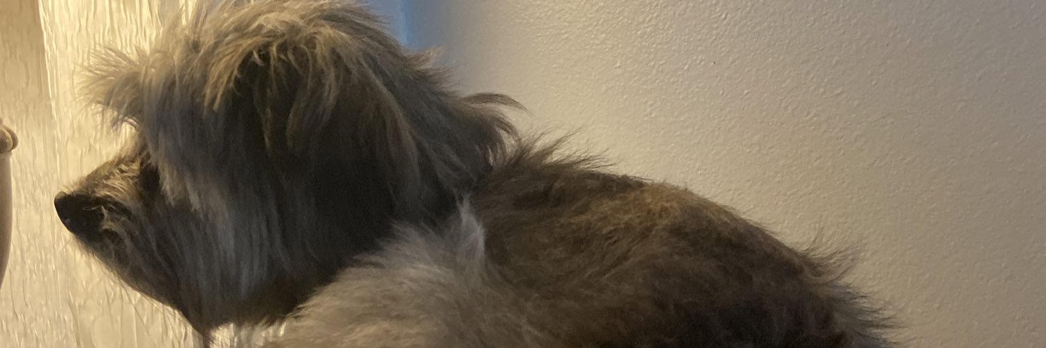 brlear's profile banner image
