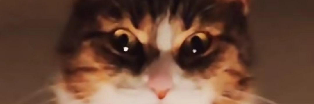 tskrlrsprmn's profile banner image