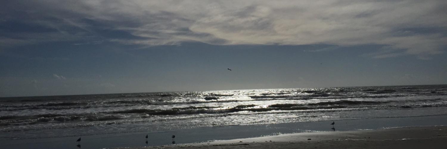 TheRealManiG's profile banner image