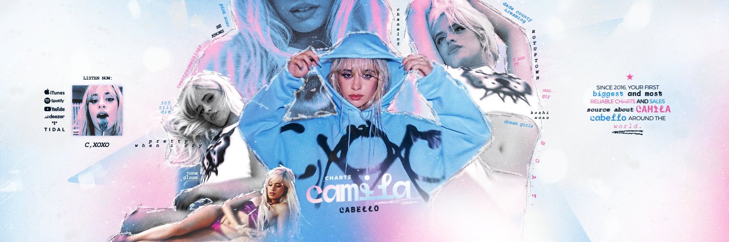 Camila Charts banner
