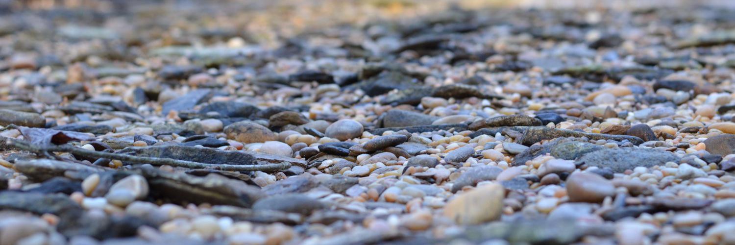 Daniel Hinton banner