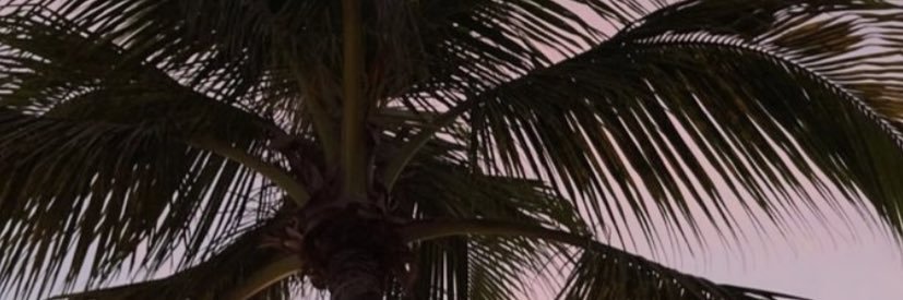 LeamarieLen's profile banner image