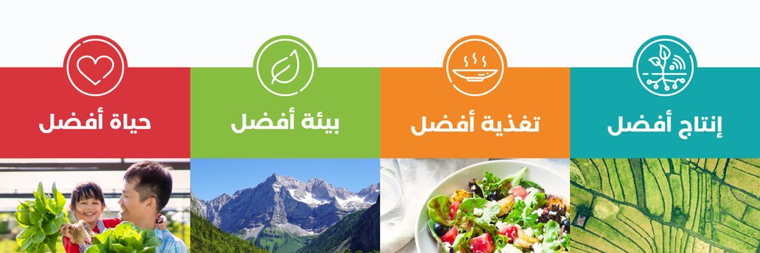 DinaKaff's profile banner image