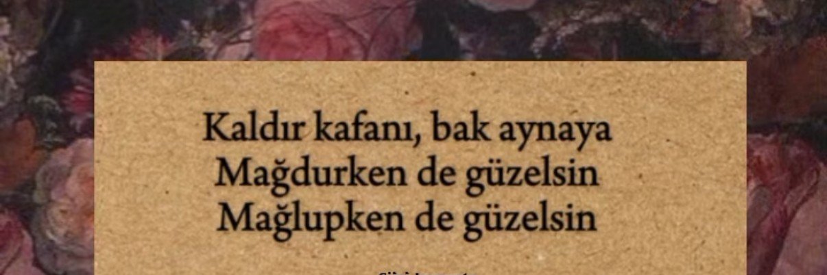 seycaki's profile banner image
