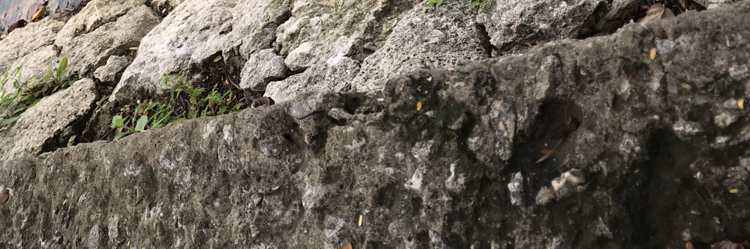 Paleirbag's profile banner image