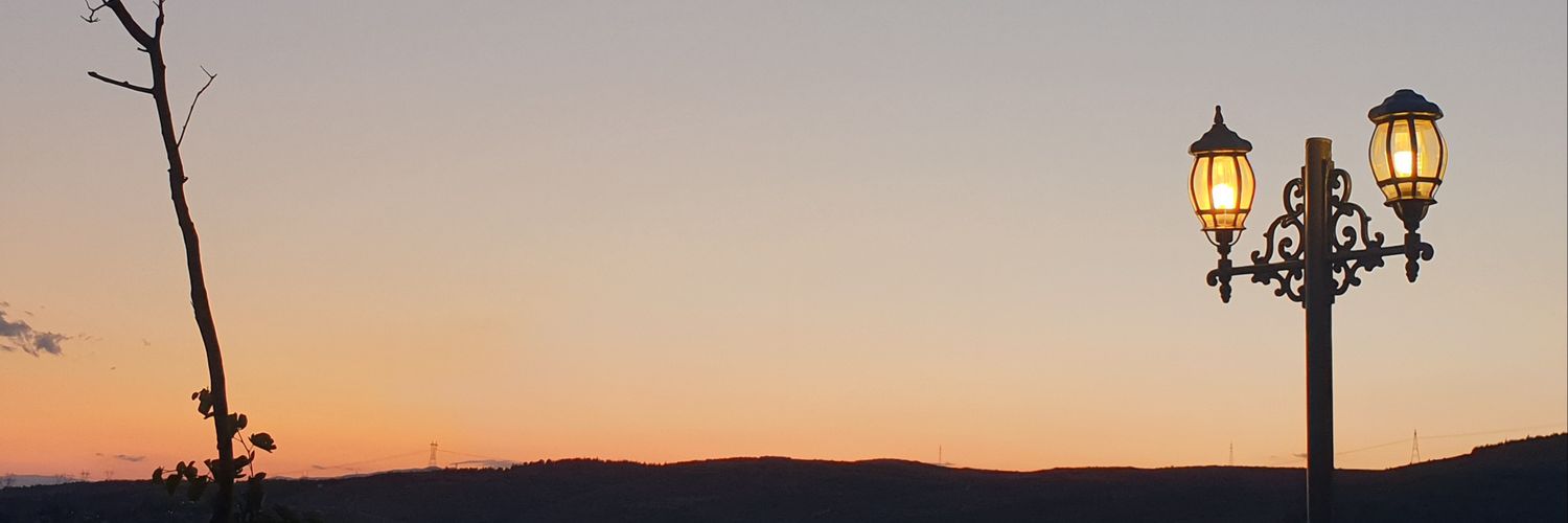 gullsah05's profile banner image