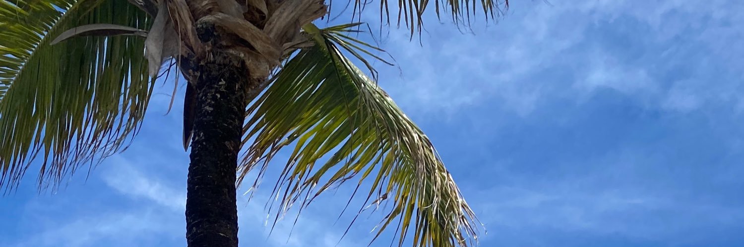 malusilveiraa's profile banner image