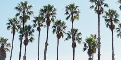 ふ〜ど banner