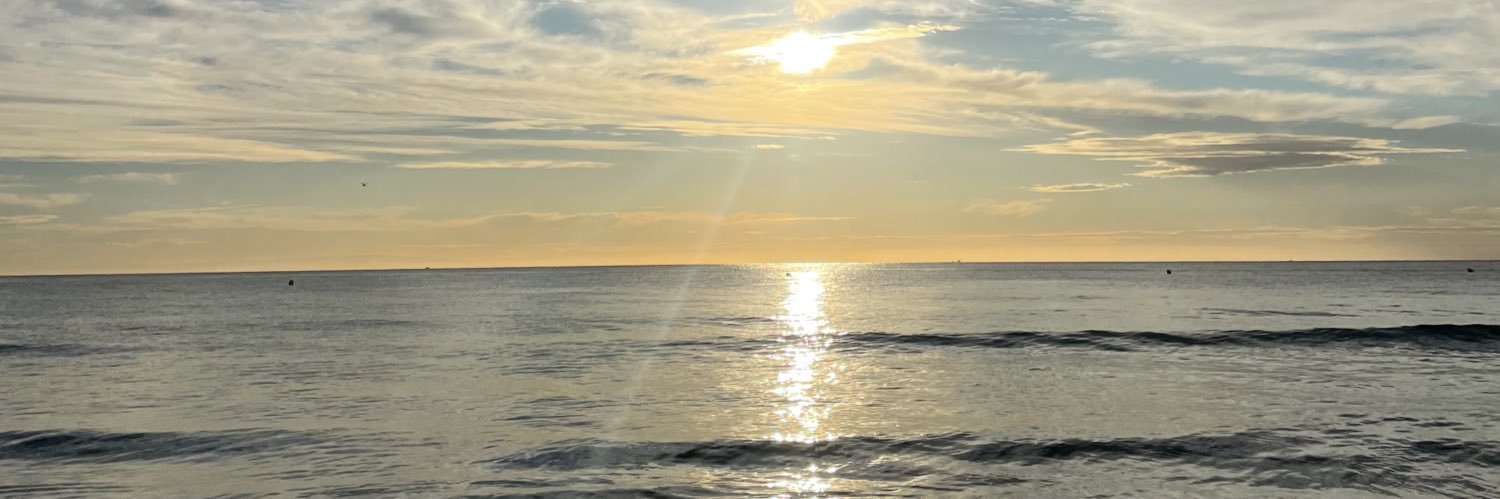 martabosdi's profile banner image