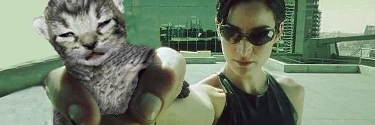 dollarsnspence's profile banner image