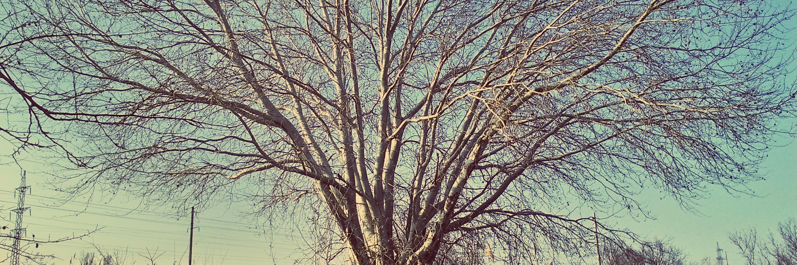 Gebbko's profile banner image