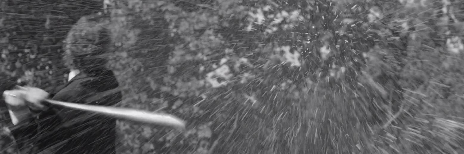 schallandr's profile banner image