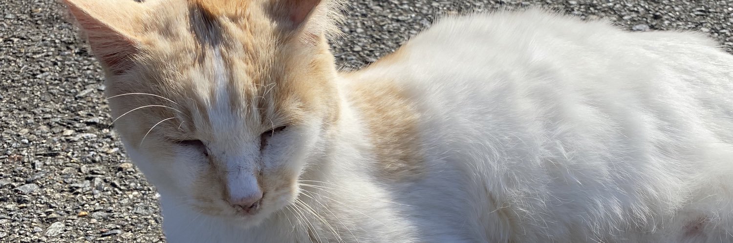 sinmaichan@強化、進化にはアメいるぞw banner