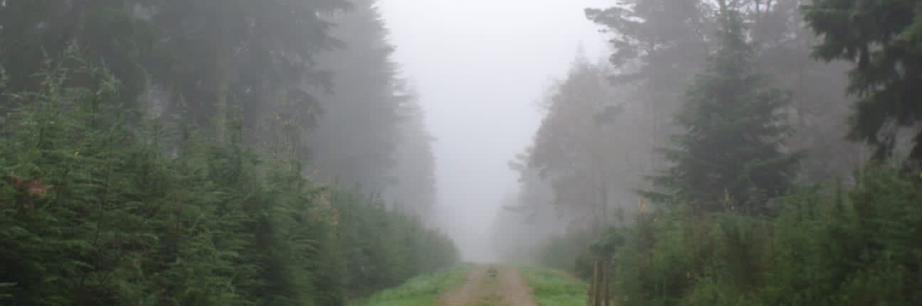 loisstonock's profile banner image