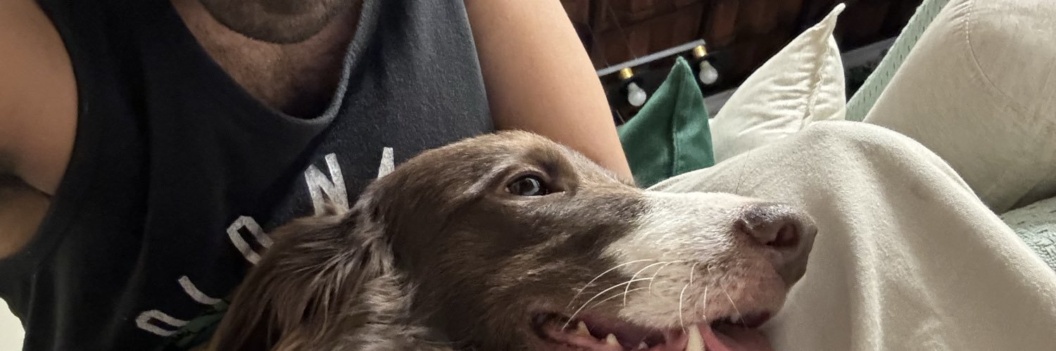 Normalgabs's profile banner image